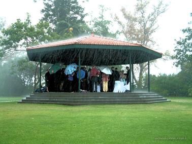 Nice Day for a White Wedding, Queen's Gardens, Perth, Western Australia